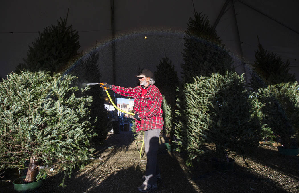A rainbow forms over an employee hydrating trees on display at Rudolph's Christmas Trees locate ...