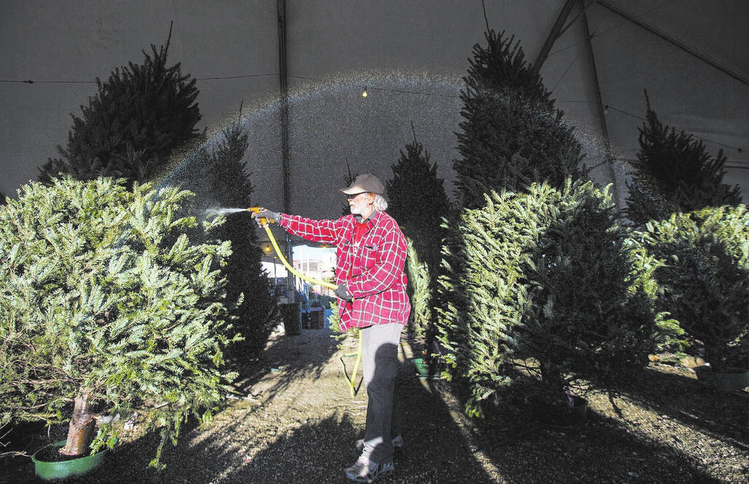 A rainbow forms over an employee hydrating trees on display at Rudolph's Christmas Trees locate ...