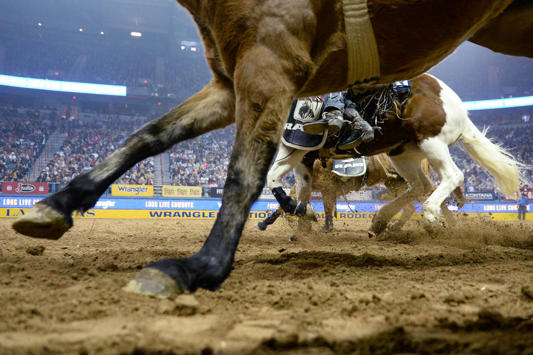 A line of horses run through the arena during the sixth go-round of the National Finals Rodeo at the Thomas & Mack Center in Las Vegas, Tuesday, Dec. 11, 2018. Caroline Brehman/Las Vegas Revie ...