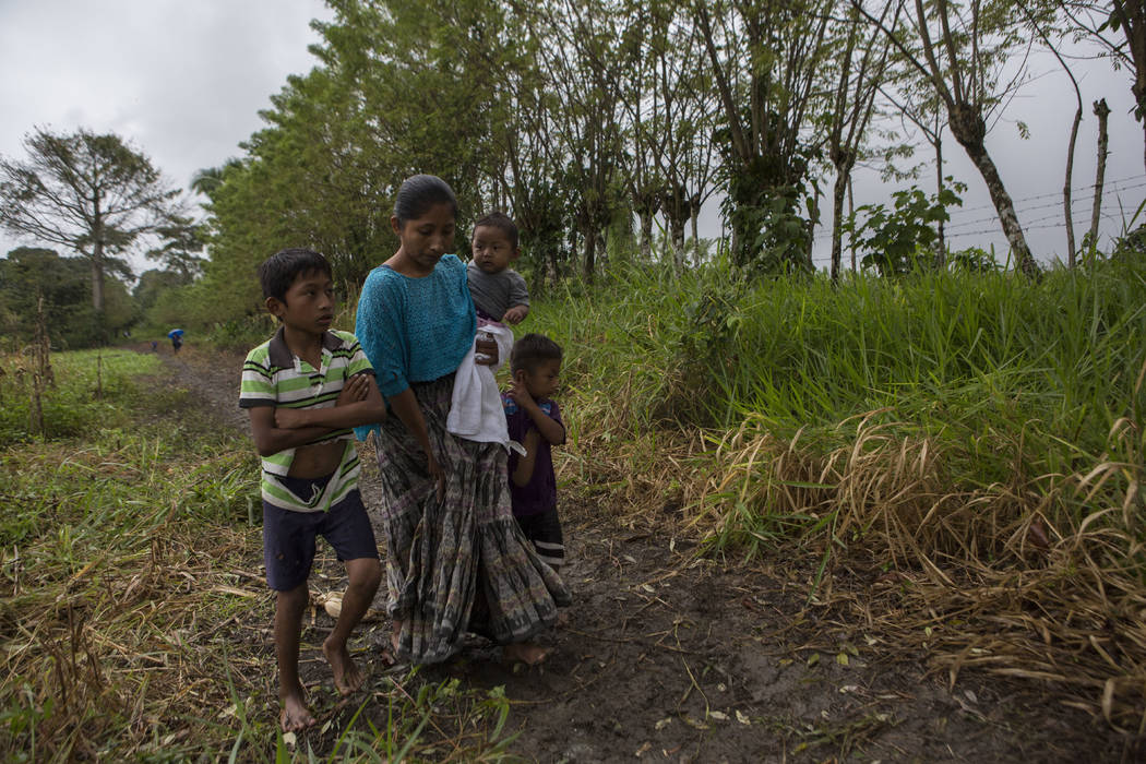 Guatemalan girl who died after border crossing lived in ...