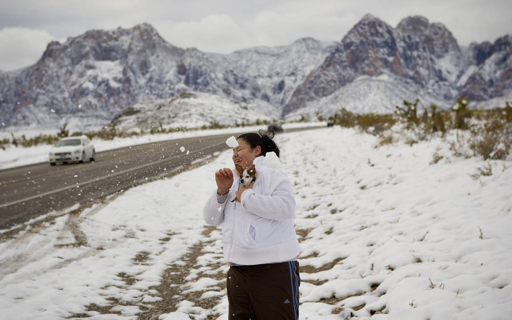 Jennifer Nieves, 17, tries to dodge a snowball while taking part in a snowball fight at the Red Rock National Conservation Area on Dec. 16, 2008. Tucked in her coat is her chihuahua Roxy. (Las Veg ...