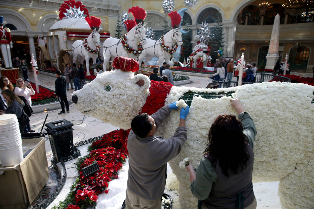 Conservatory gardeners Silvestre Calderon, left, and Alexa Tulowetzke load fresh flowers to Majestic Holiday Magic at the Bellagio Conservatory & Botanical Gardens in Las Vegas Friday, Dec. 21 ...