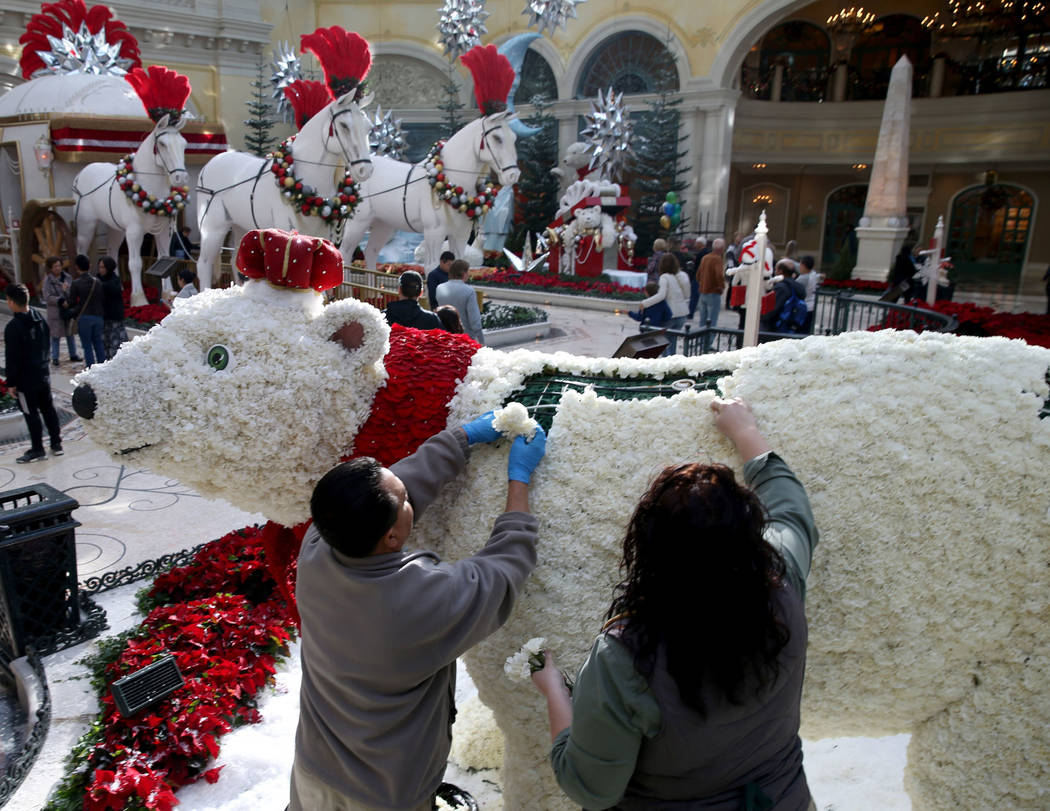 Conservatory gardeners Silvestre Calderon, left, and Alexa Tulowetzke load fresh flowers to Majestic Holiday Magic at the Bellagio Conservatory & Botanical Gardens in Las Vegas Friday, Dec. 21 ...