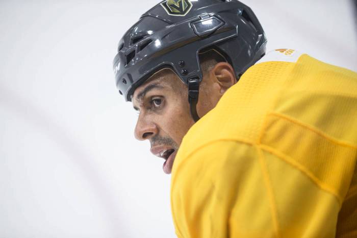 Golden Knights' Ryan Reaves teams with MGM on newest beer