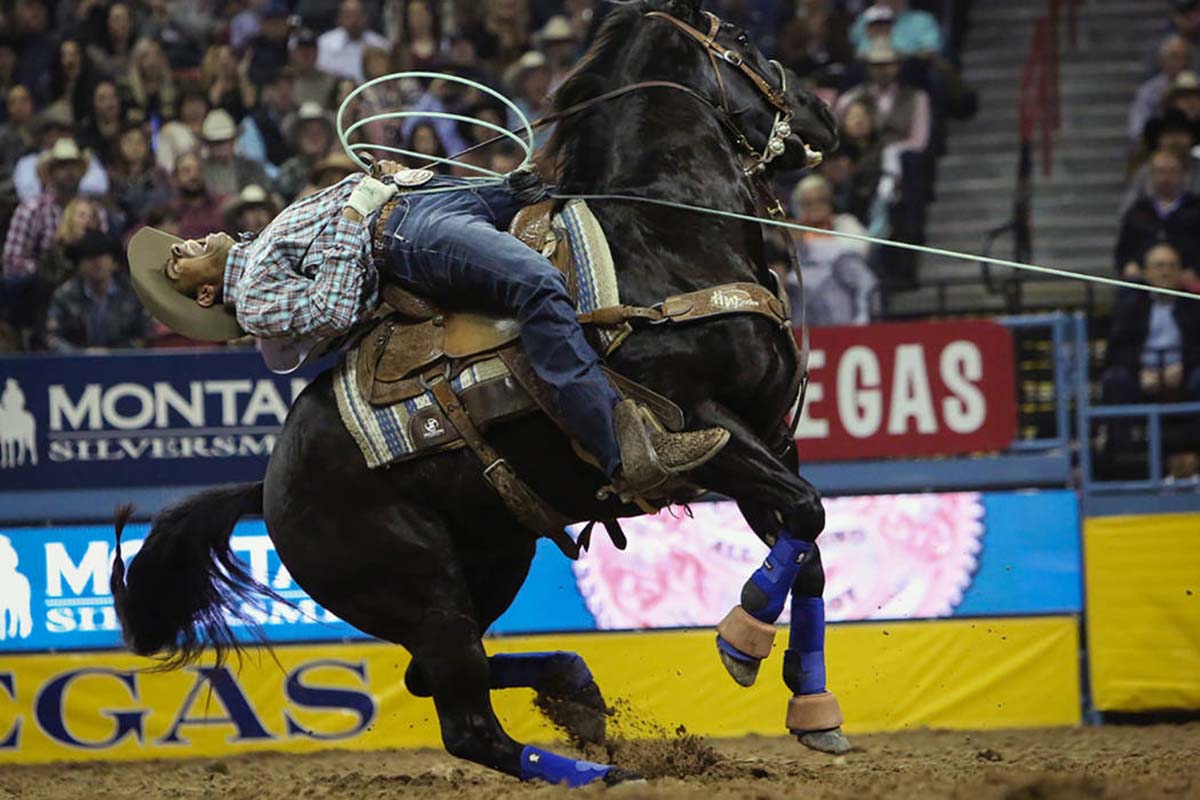 2018 NFR highlights from the 10th go-round — VIDEO | Las Vegas Review-Journal1200 x 800