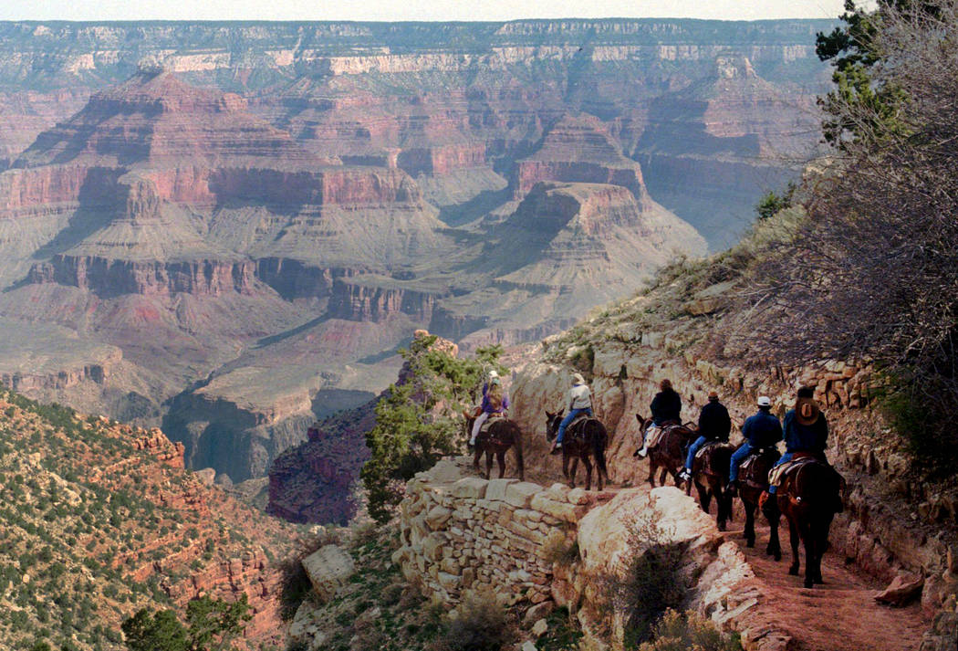 In this March 27, 1996, file photo, a mule train winds its way down the Bright Angel trail at Grand Canyon National Park, Ariz. The Grand Canyon is celebrating 100 years as a national park in 2019 ...