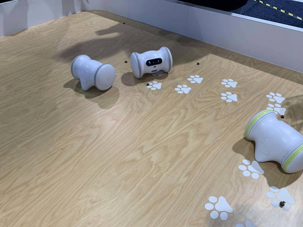 CES 2019: VARRAM robots exercising pets — | Las Vegas Review-Journal