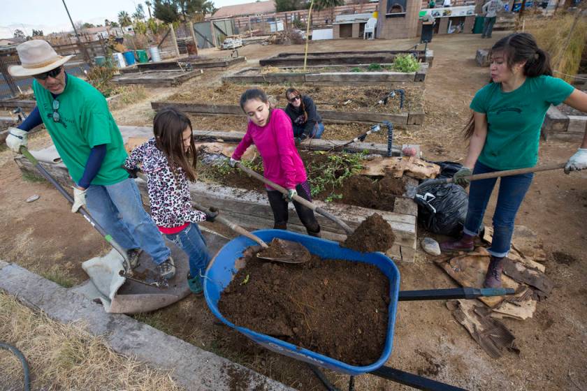Volunteers dig into Las Vegas Valley community garden — PHOTOS | Las ...