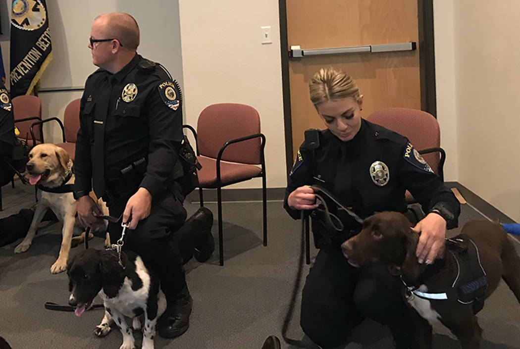 Clark County School District K-9 officers sit with their handlers after being sworn in on Thursday, Jan. 24, 2019, at police headquarters, 120 Corporate Park Drive in Henderson. (Max Michor/Review ...