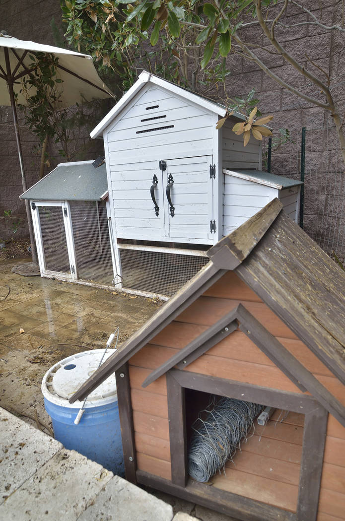 The large home has a chicken coop in the big backyard. (Bill Hughes/Real Estate Millions)