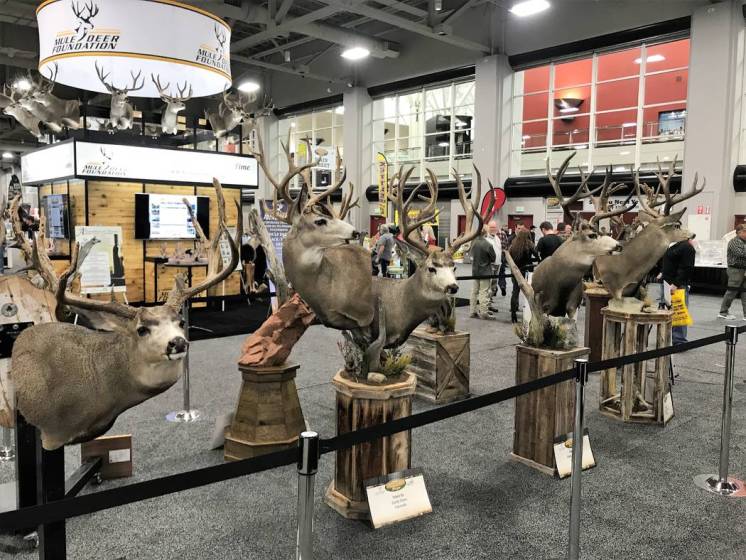 Utah tag auctions highlight Western Hunting Conservation Expo Las