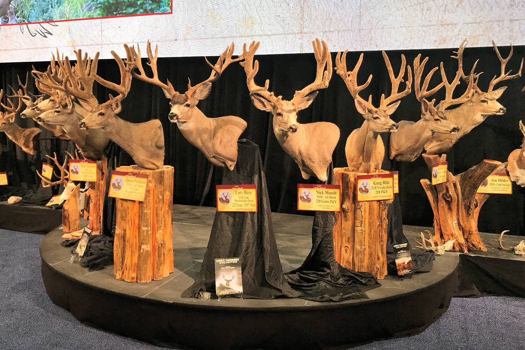 Utah tag auctions highlight Western Hunting Conservation Expo Las