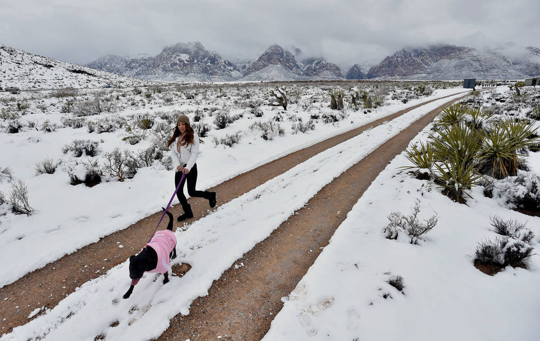 Jennifer Zavala of Calif. and her dog Lucy, hike along a trail at Red Rock Canyon National Conservation Area Thursday, Feb. 21, 2019, in Las Vegas. Las Vegas experienced its most significant snowf ...