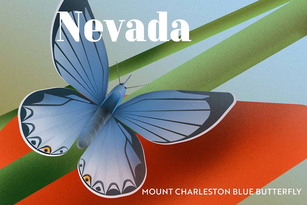 The Mount Charleston blue butterfly is featured in an illustration that is part of a new campaign highlighting the most endangered wildlife in every state. (NetCredit)