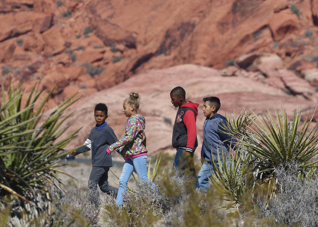 Elaine Wynn Elementary School students walk the trail during their field trip in Red Rock Canyon on Wednesday, Feb. 27, 2019, in Las Vegas. Bizuayehu Tesfaye Las Vegas Review-Journal @bizutesfaye