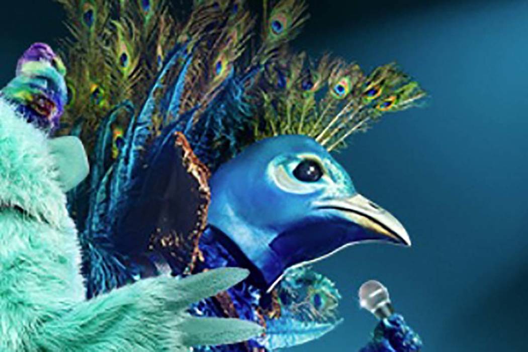 The Peacock turns out to be Donny Osmond on "The Masked Singer." (Facebook)
