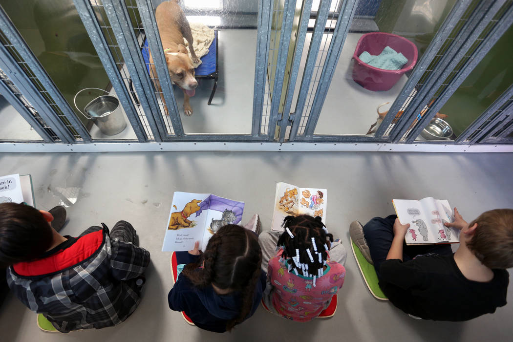CCSD first graders participate in the 4th Annual "Reading to Dogs in Kennels" event at The Animal Foundation during Nevada Reading Week in Las Vegas, Thursday, Feb. 28, 2019. (Caroline Brehman/Las ...