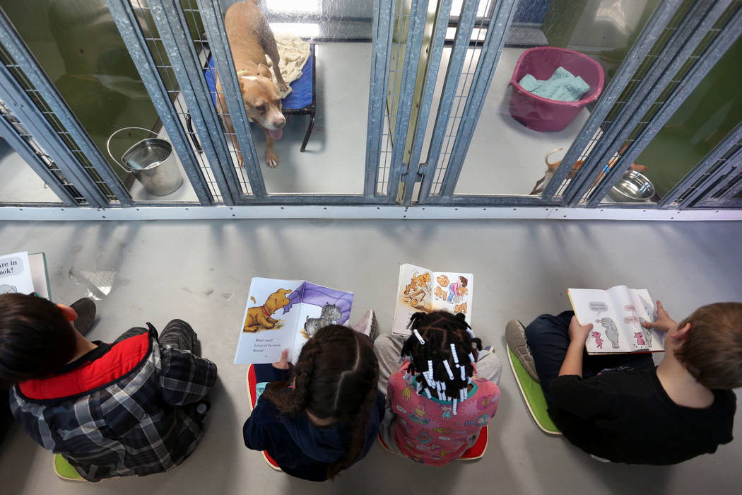 First-graders participate in the 4th Annual "Reading to Dogs in Kennels" event at The Animal Foundation during Nevada Reading Week in Las Vegas, Thursday, Feb. 28, 2019. (Caroline Brehman/Las Vega ...