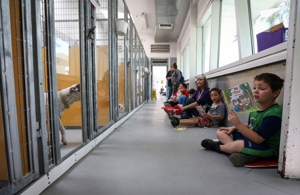 Brendan Conrad, 7, and other first-graders participate in the 4th Annual "Reading to Dogs in Kennels" event at The Animal Foundation during Nevada Reading Week in Las Vegas, Thursday, Feb. 28, 201 ...