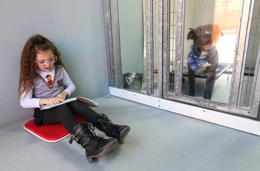 First-grader Aubrey Haws, 6, participates in the 4th Annual "Reading to Dogs in Kennels" event at The Animal Foundation during Nevada Reading Week in Las Vegas, Thursday, Feb. 28, 2019. (Caroline ...