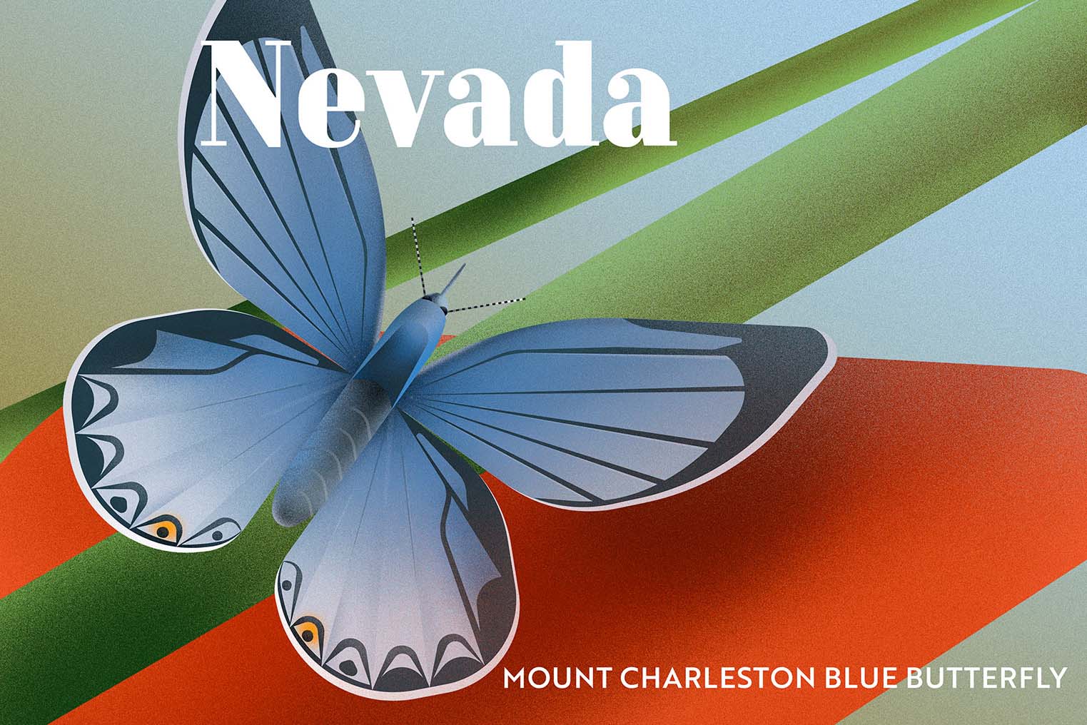 Mount Charleston butterfly ID’d as Nevada’s most endangered species