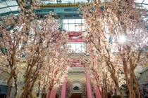 The Bellagio showcases its spring display at the Bellagio Conservatory & Botanical Gardens in L ...