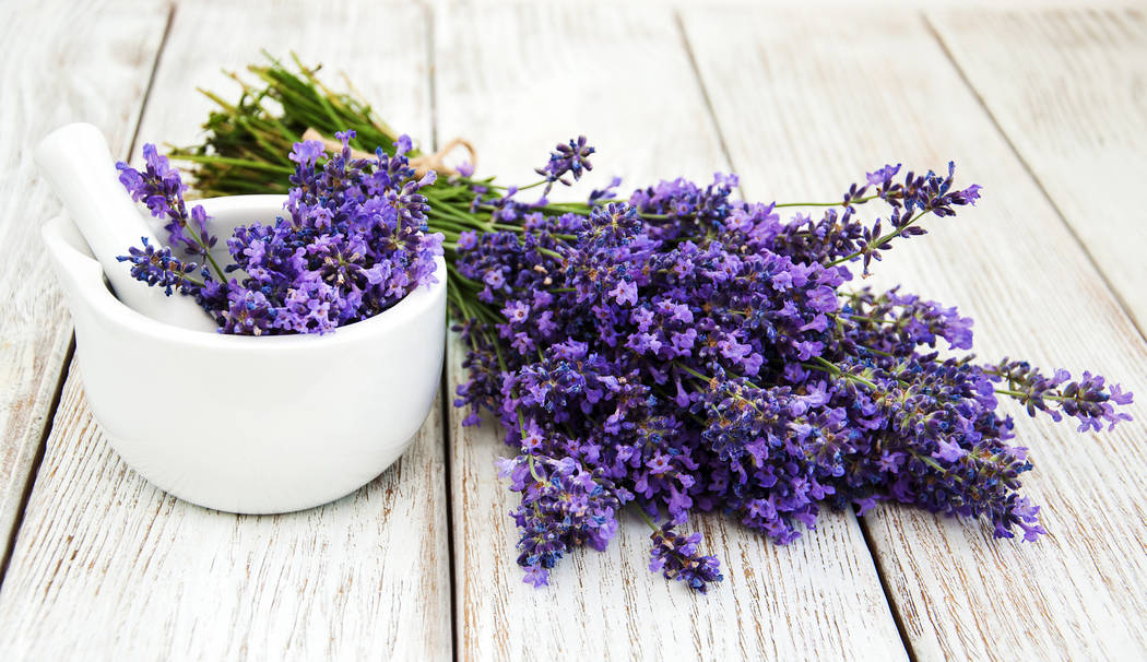 Lavender promotes relaxation. Home fragrance expert Rayda Vega suggests putting fresh lavender buds in a pretty dish in the bedroom. (Getty)