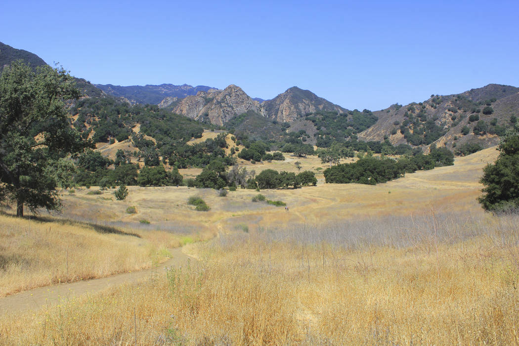 This July 1, 2018 file photo shows the the Grasslands trail at Malibu Creek State Park near Calabasas, Calif., following a relatively dry winter and several years of drought. (AP Photo/John Antcz ...