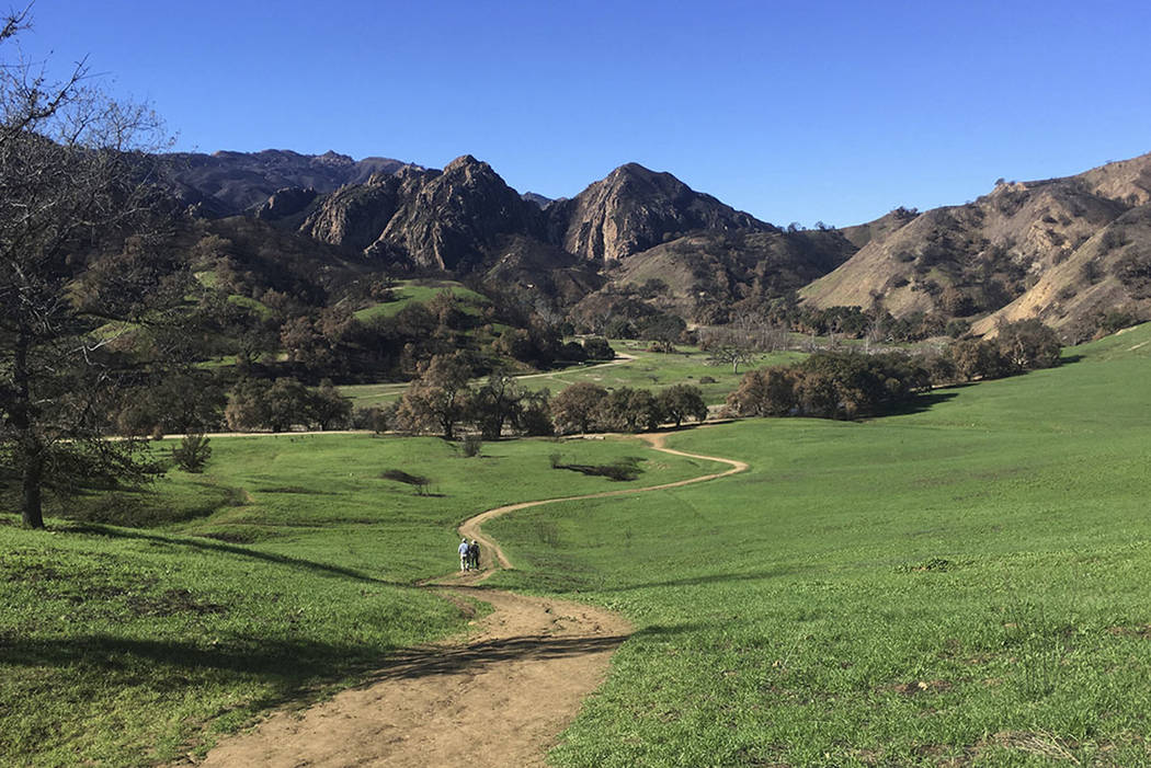 The Grasslands trail at Malibu Creek State Park near Calabasas, Calif., is seen on Jan. 21, 2019, after rains caused new green growth on lands blackened by the 2018 Woolsey wildfire. (AP Photo/Jo ...