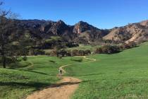 The Grasslands trail at Malibu Creek State Park near Calabasas, Calif., is seen on Jan. 21, 2019, after rains caused new green growth on lands blackened by the 2018 Woolsey wildfire. (AP Photo/Jo ...