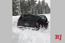 This photo released Saturday, March 2, 2019, by the Deschutes County Sheriff's Office, shows the scene where a man whose car was stranded in central Oregon snow for 5 days survived by eating taco ...