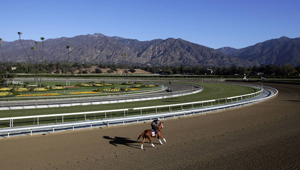 An exercise rider takes a horse for a workout at Santa Anita Park with palm trees and the San Gabriel Mountains as a backdrop in Arcadia, Calif. on Oct. 30, 2013. A person with direct knowledge of ...