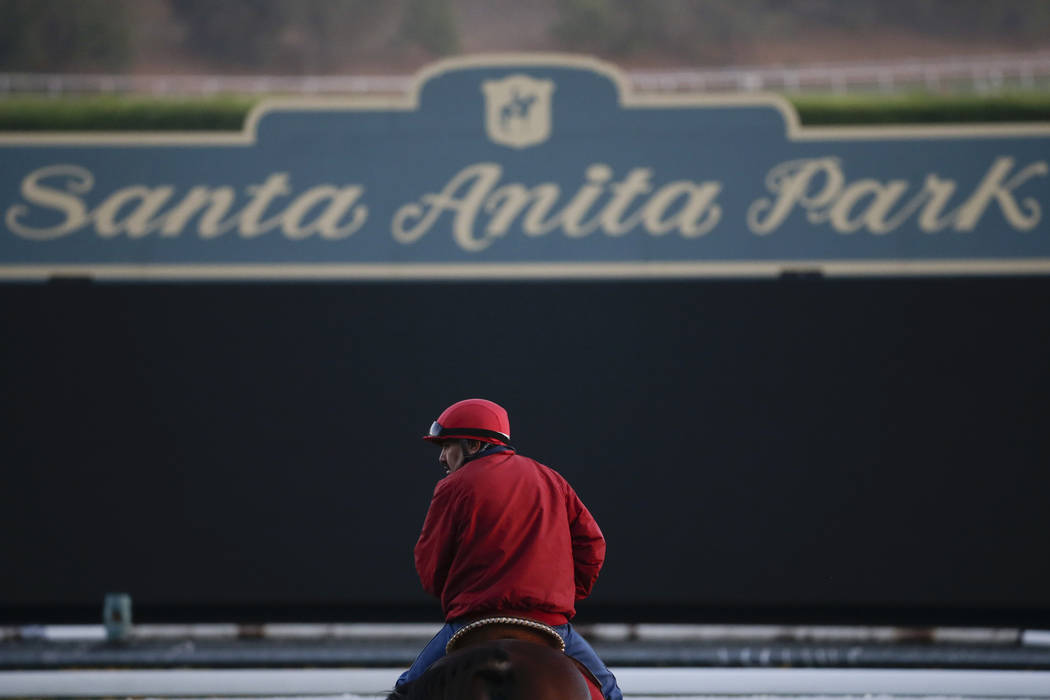 An outrider waits by the track as horses train for the Breeders' Cup horse races at Santa Anita Park in Arcadia, Calif. on Oct. 29, 2014. A person with direct knowledge of the situation says a 21s ...