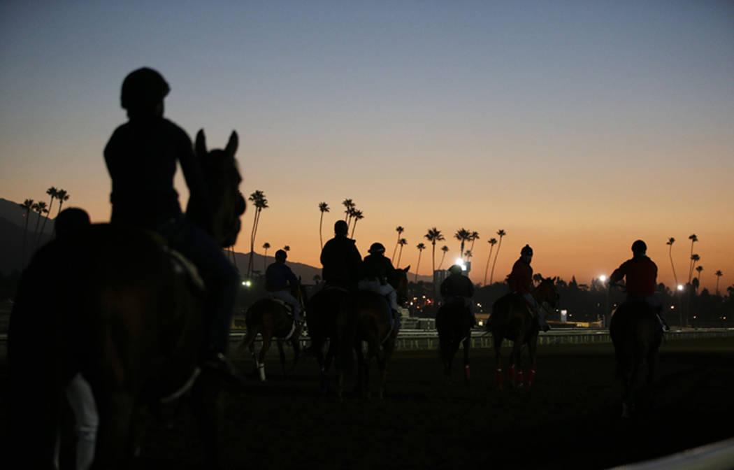 Exercise riders and horses walk along the track during morning workouts for the Breeders' Cup races at Santa Anita Park in Arcadia, Calif. on Oct. 29, 2014. A person with direct knowledge of the s ...