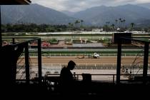 A general view of Santa Anita Park is shown Tuesday, March 5, 2019, in Arcadia, Calif. (AP Photo/Jae C. Hong)