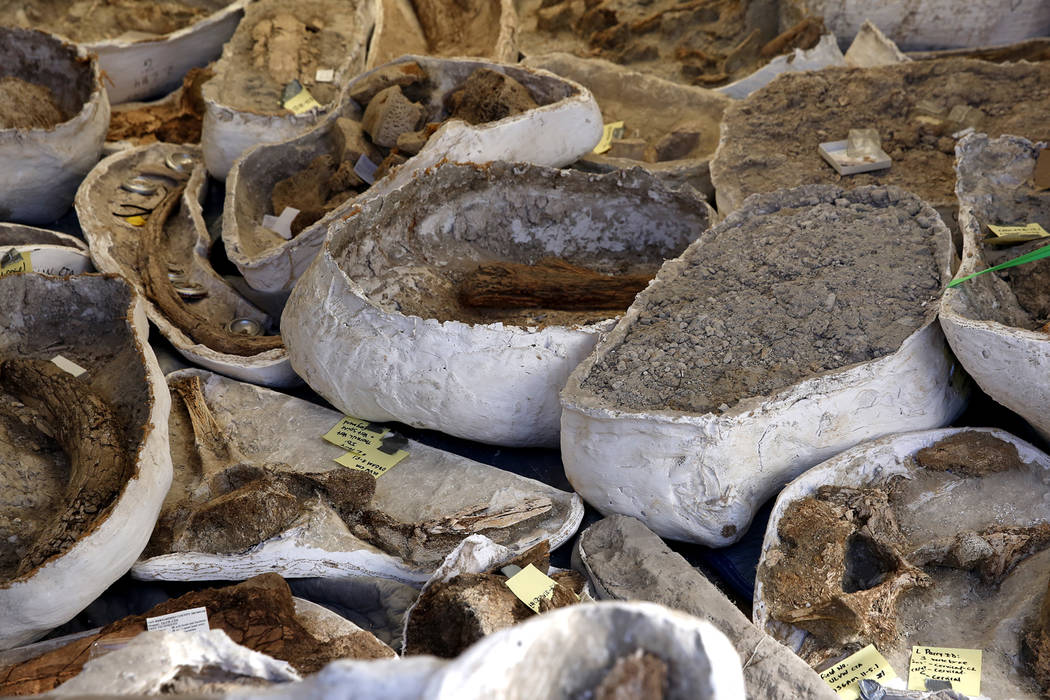 Ice age fossils, which were relocated from the San Bernardino County Museum, sit on a truck at the Las Vegas Natural History Museum before being transferred to a climate-controlled secure facility ...