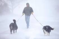 Tom Skaar of Cheyenne laughs while walking his dogs on House Avenue during a blizzard on Wednesday, March 13, 2019, in Cheyenne, Wyo. White-out conditions closed I-80, I-25, and U.S. 85, effective ...