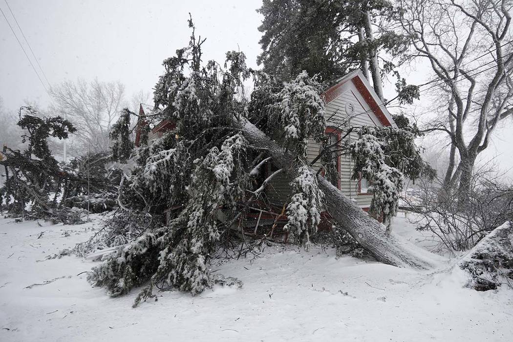 Trees snapped by high winds from a late winter storm packing hurricane-force winds and snow cover the Eugene Field house in Washington Park Wednesday, March 13, 2019, in Denver. (AP Photo/David Za ...