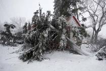 Trees snapped by high winds from a late winter storm packing hurricane-force winds and snow cover the Eugene Field house in Washington Park Wednesday, March 13, 2019, in Denver. (AP Photo/David Za ...