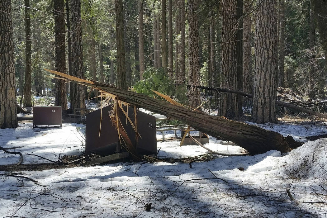 A damaged bear box after the recent heavy snowpack in Yosemite National Park, Calif. on Wednesday, March 13, 2019. The park announced that there will be late seasonal openings to facilities due to ...