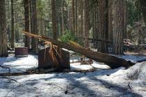 A damaged bear box after the recent heavy snowpack in Yosemite National Park, Calif. on Wednesday, March 13, 2019. The park announced that there will be late seasonal openings to facilities due to ...