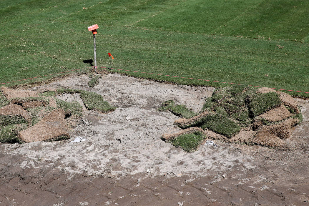 Field sod at Las Vegas Ballpark Thursday, March 14, 2019. (K.M. Cannon/Las Vegas Review-Journal) @KMCannonPhoto