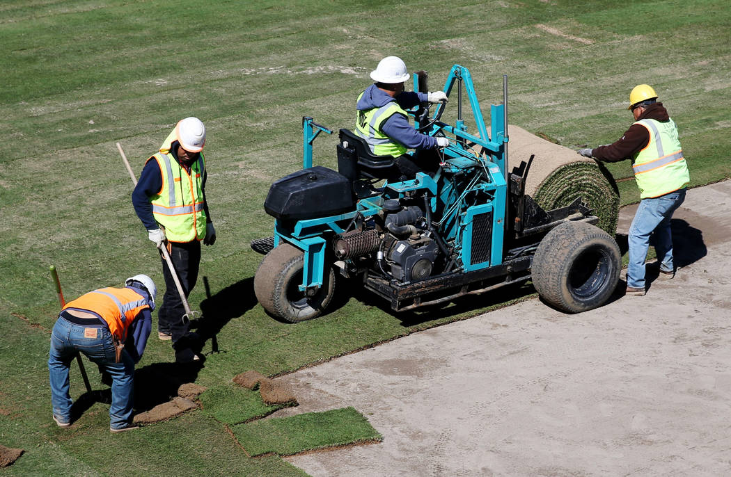 Sod is laid in the right field at Las Vegas Ballpark Thursday, March 14, 2019. (K.M. Cannon/Las Vegas Review-Journal) @KMCannonPhoto