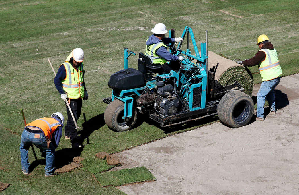 Sod is laid in the right field at Las Vegas Ballpark Thursday, March 14, 2019. (K.M. Cannon/Las Vegas Review-Journal) @KMCannonPhoto
