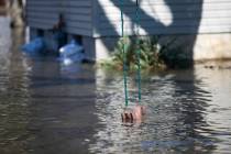 A swing hung from a tree dips into flood waters on Shore Drive Saturday, March 16, 2019, in Machesney Park, Ill. Many rivers and creeks in the Midwest are at record levels after days of snow and r ...