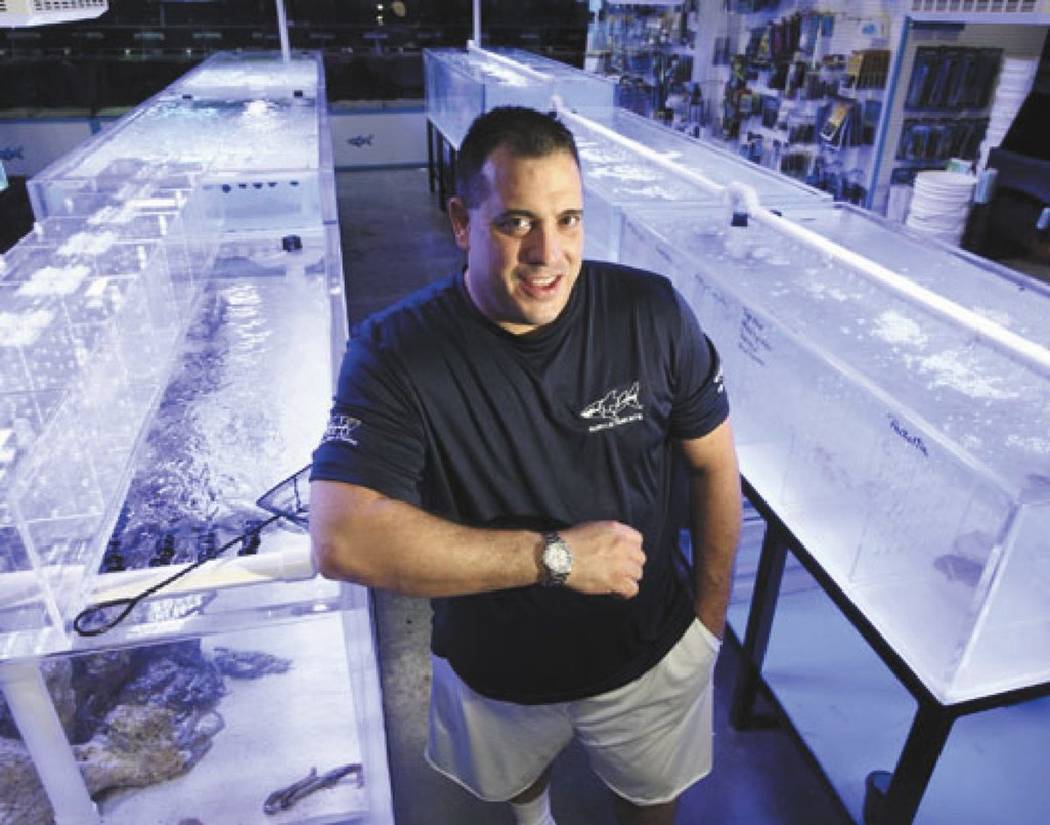 Wayde King, owner of Acrylic Tank Manufacturing, is shown in the shop's showroom, 6975 S. Decatur Blvd., in Las Vegas, on Friday, August 12, 2011. (Las Vegas Review-Journal)