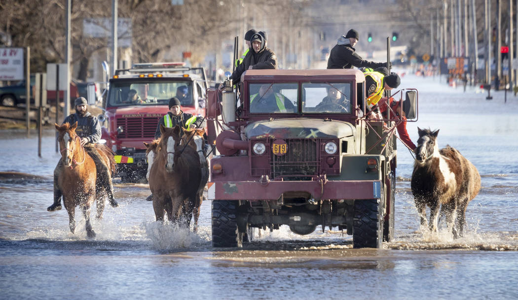 Horses that were being boarded in Inglewood, Neb., are moved through floodwaters to higher ground in Fremont Neb., Friday, March 15, 2019. The flooding followed days of snow and rain — reco ...