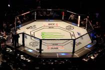 UFC Fight Night - The O2 Arena. A general view of the Octagon at The O2 Arena, London
