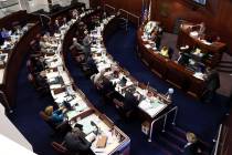 The Nevada Senate works in the final hours of the session at the Legislative Building in Carson City. (Las Vegas Review-Journal file)