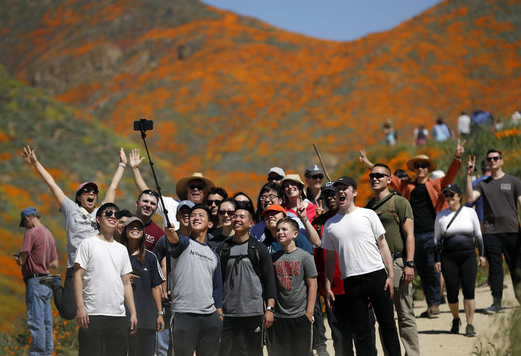 People pose for a picture among wildflowers in bloom Monday, March 18, 2019, in Lake Elsinore, Calif. About 150,000 people flocked over the weekend to see this year's rain-fed flaming orange patch ...